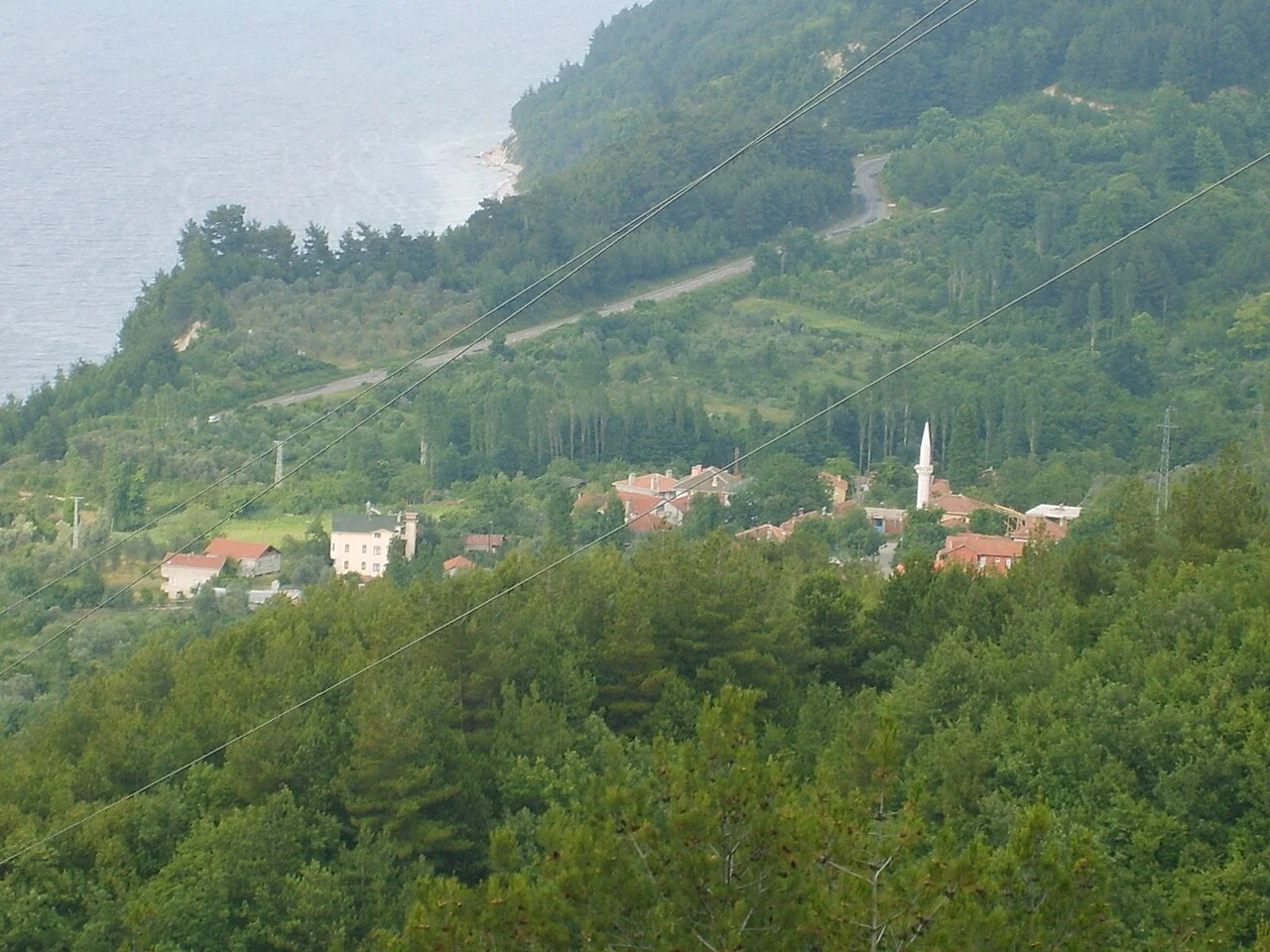 Photo of Yeşilyuva