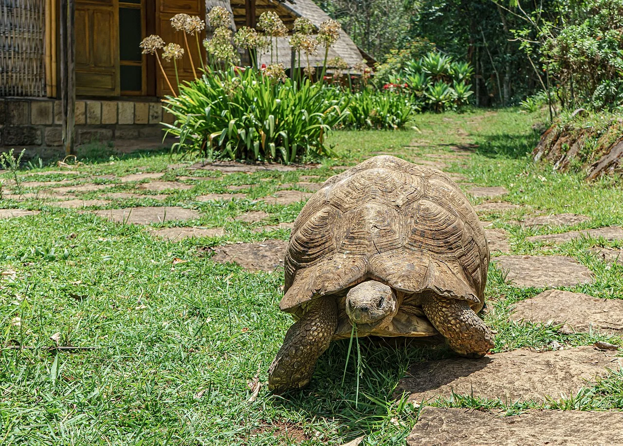 Photo of Yirga ‘Alem