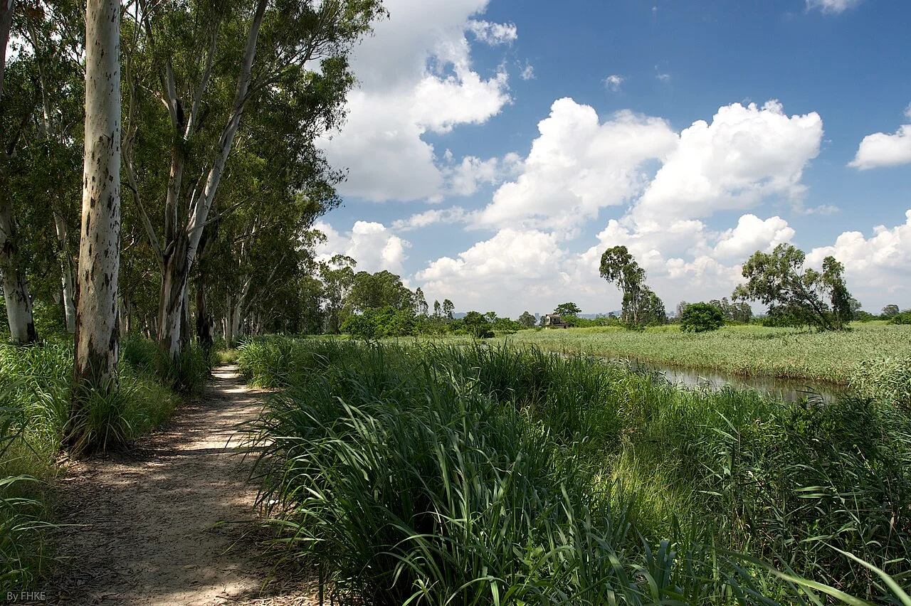 Photo of Yuen Long Kau Hui