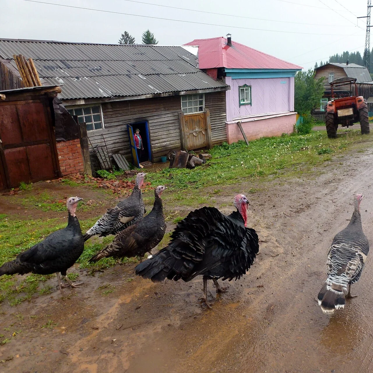 Photo of Yugo-Kamskiy