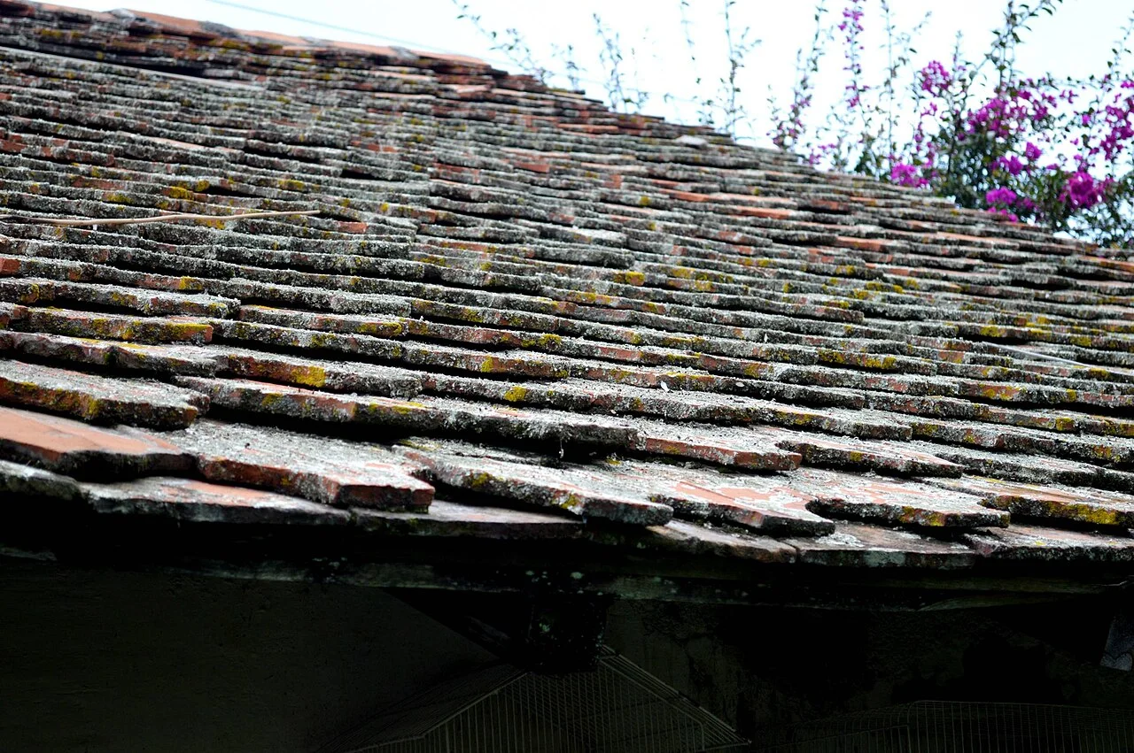 Photo of Zacualpan de Amilpas