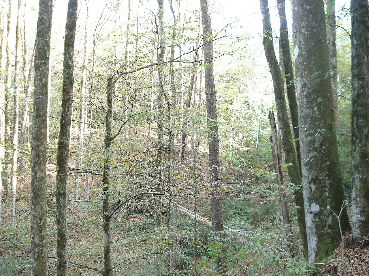 Photo of Zacualtipán