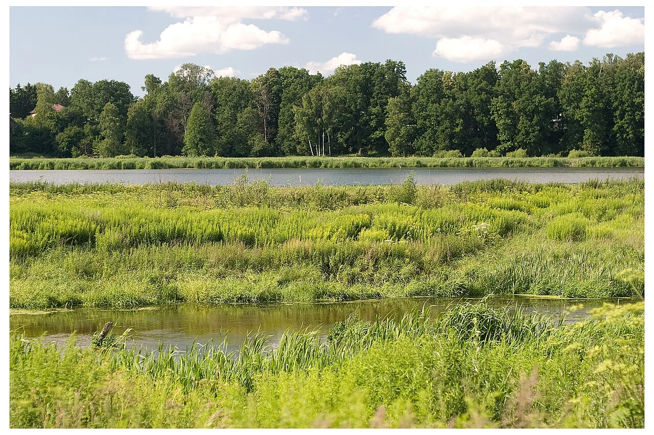 Photo of Zagoryanskiy