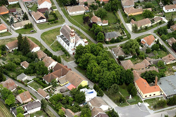 Photo of Zagyvarékas