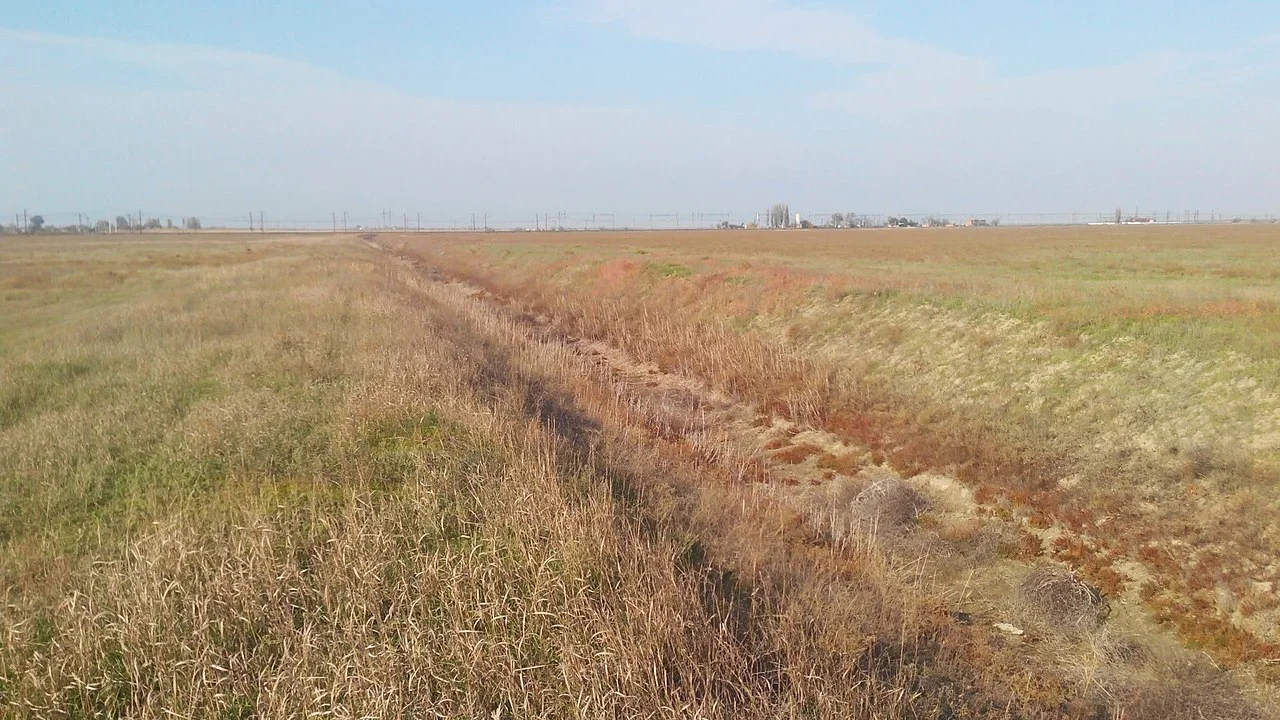 Photo of Zaliznychne