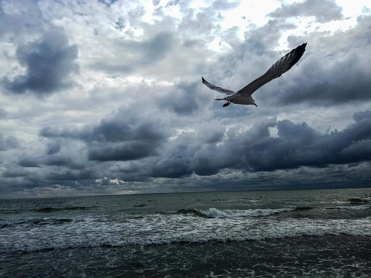Photo of Zaliznyy Port