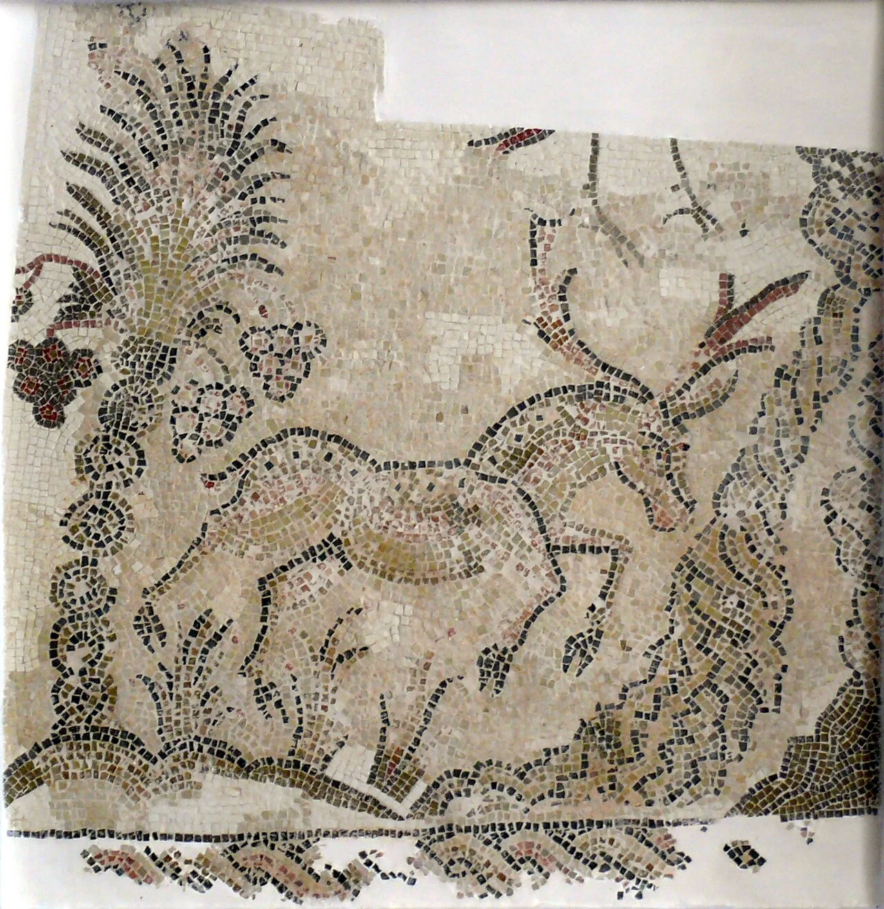 Photo of Zaouiet Sousse