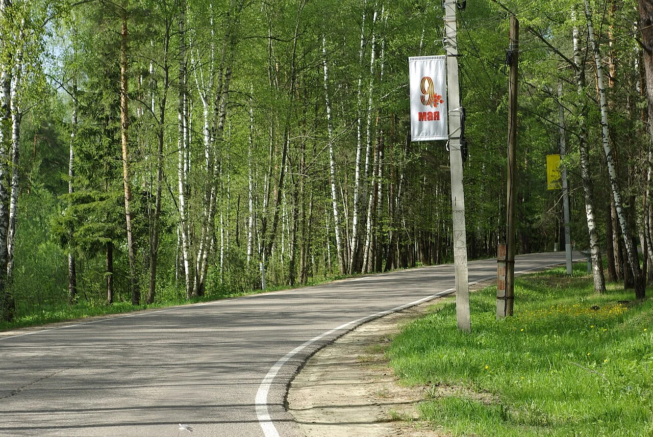 Photo of Zelenogradskiy