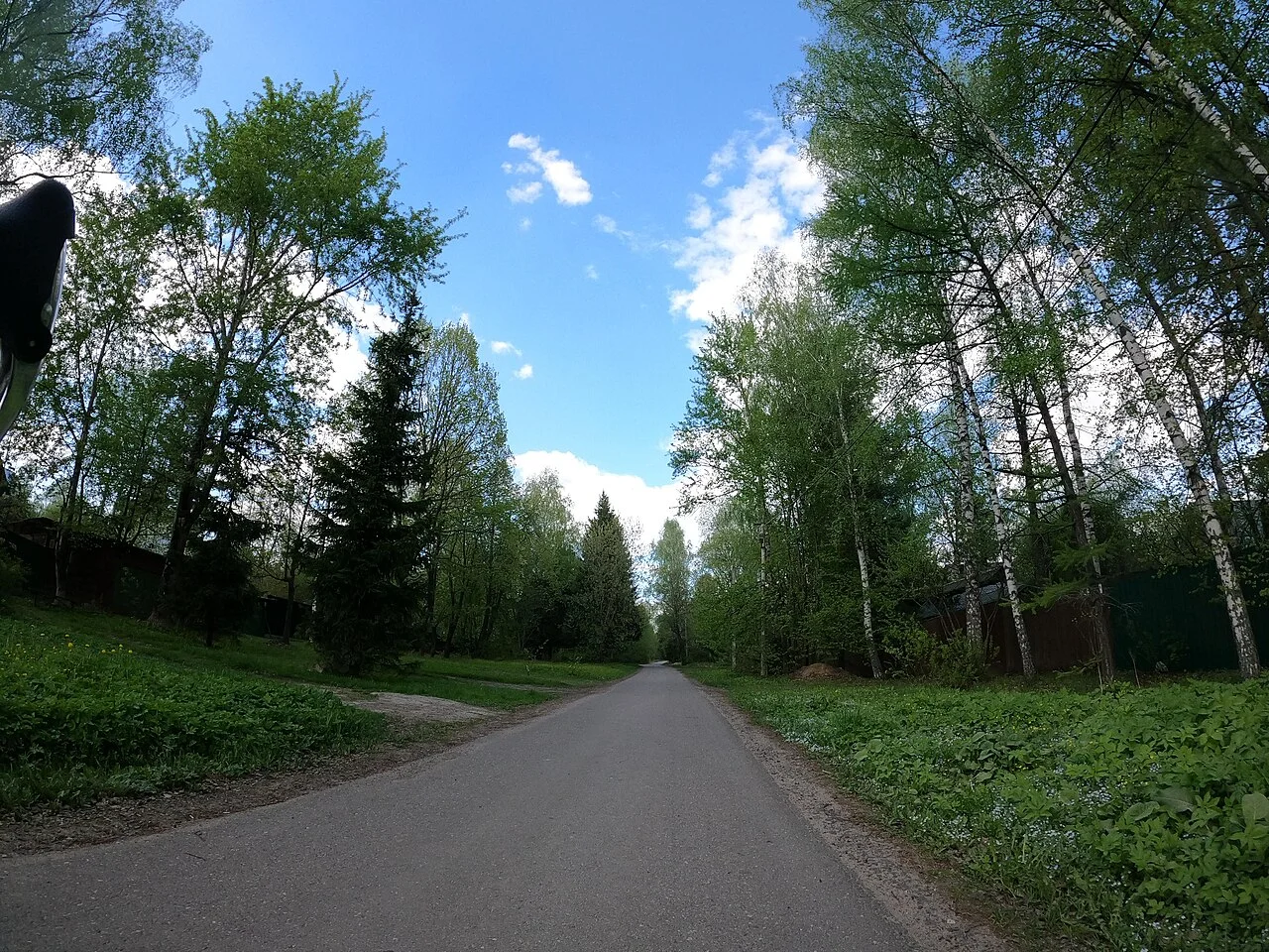 Photo of Zelenogradskiy