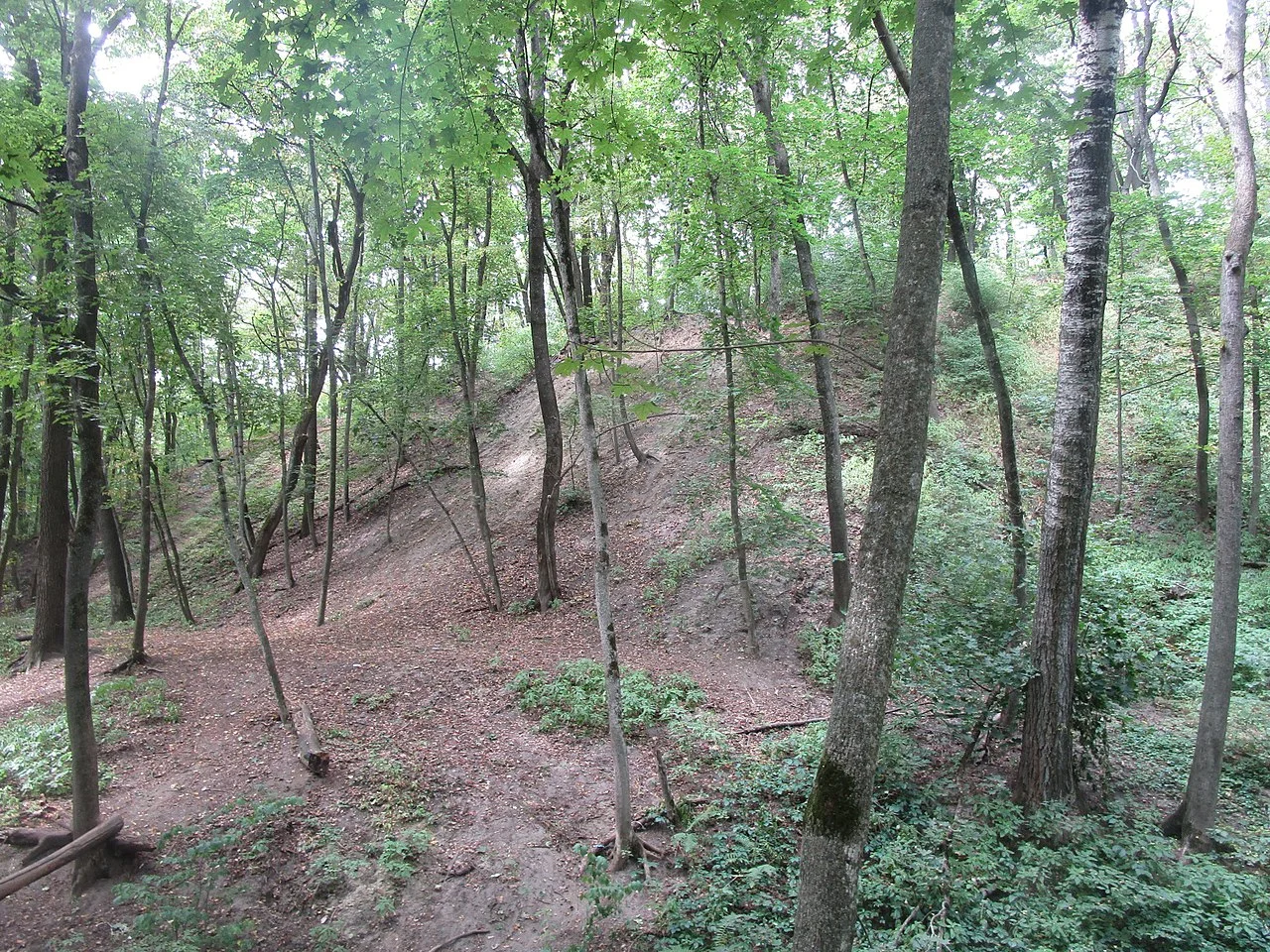 Photo of Zelenyi Hai