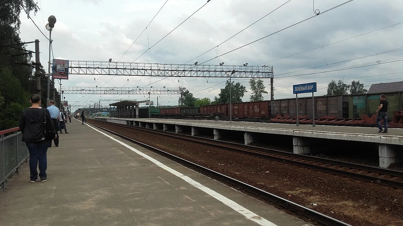 Photo of Zelënyy Bor