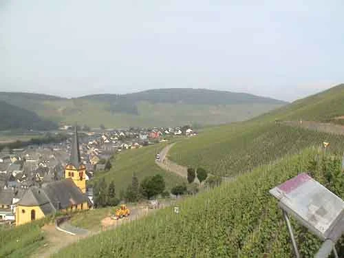 Photo of Zeltingen-Rachtig