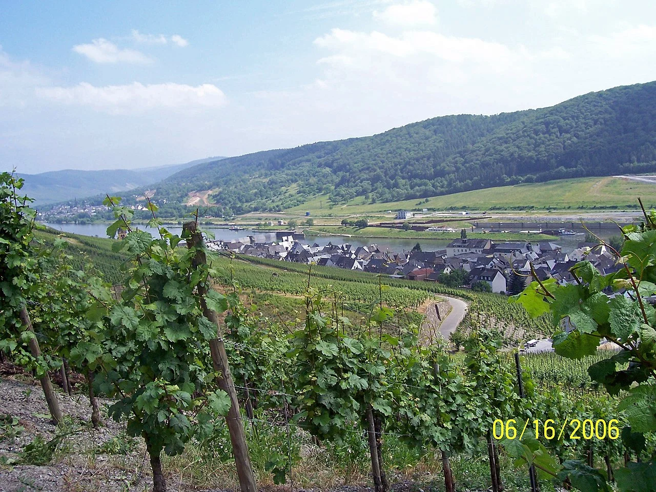 Photo of Zeltingen-Rachtig