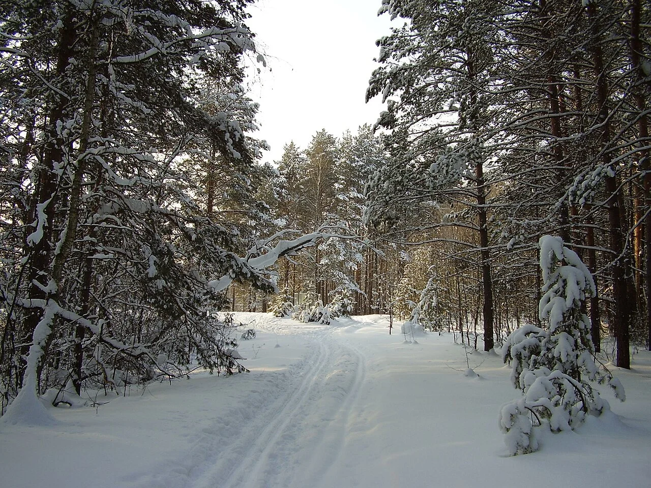 Photo of Zelyony Gorod