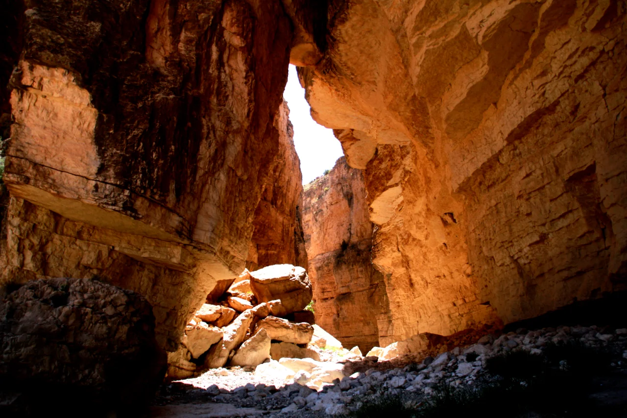 Photo of Zeribet el Oued