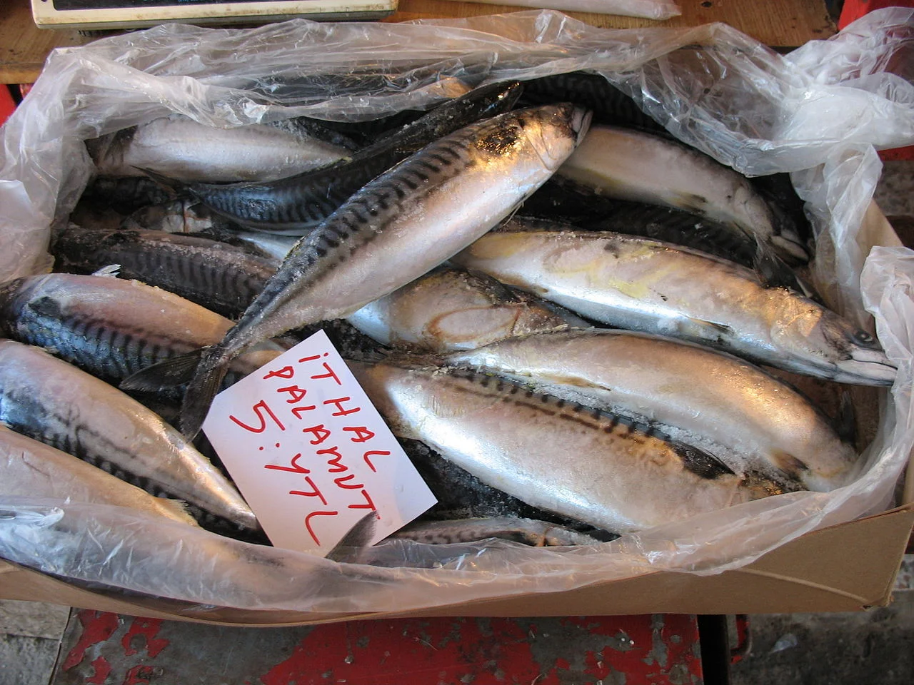 Photo of Zeytinliova