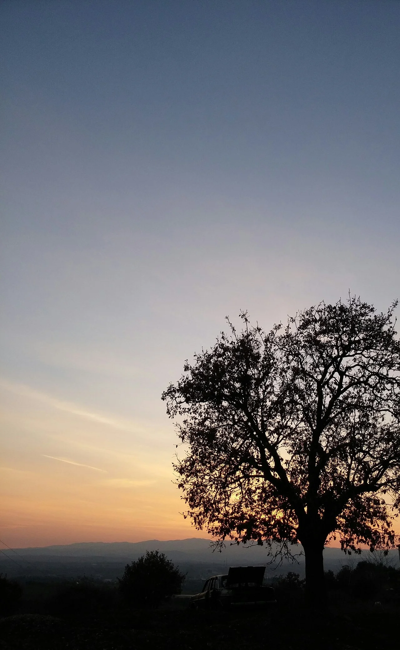 Photo of Zeytinliova