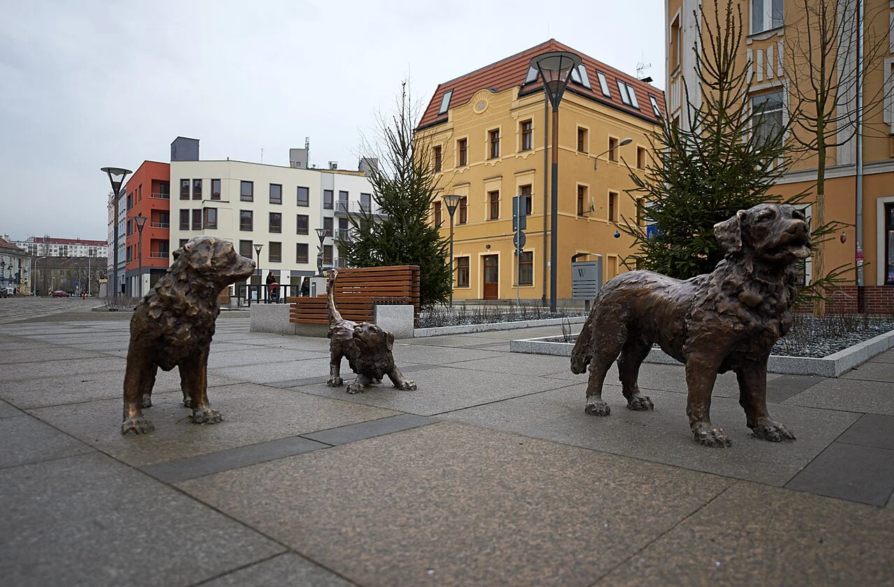 Photo of Zgorzelisko