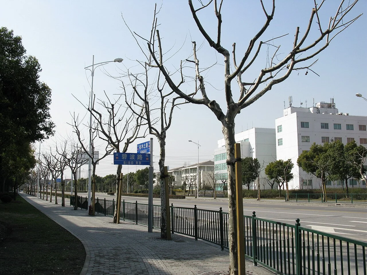 Photo of Zhangjiang