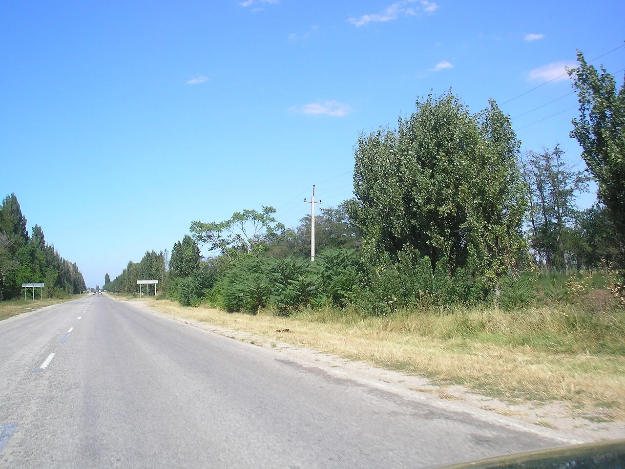 Photo of Zhemchuzhina