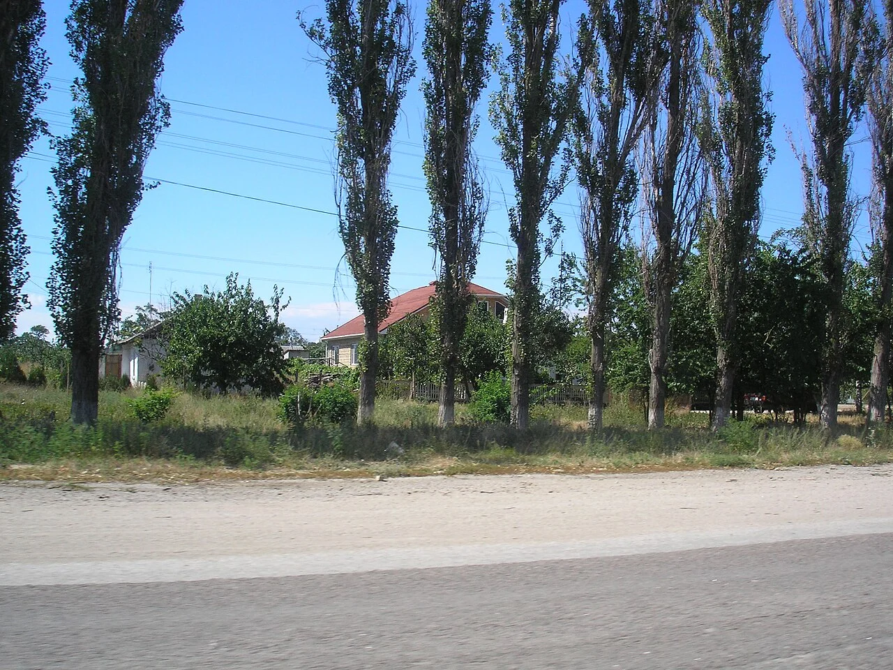 Photo of Zhemchuzhina