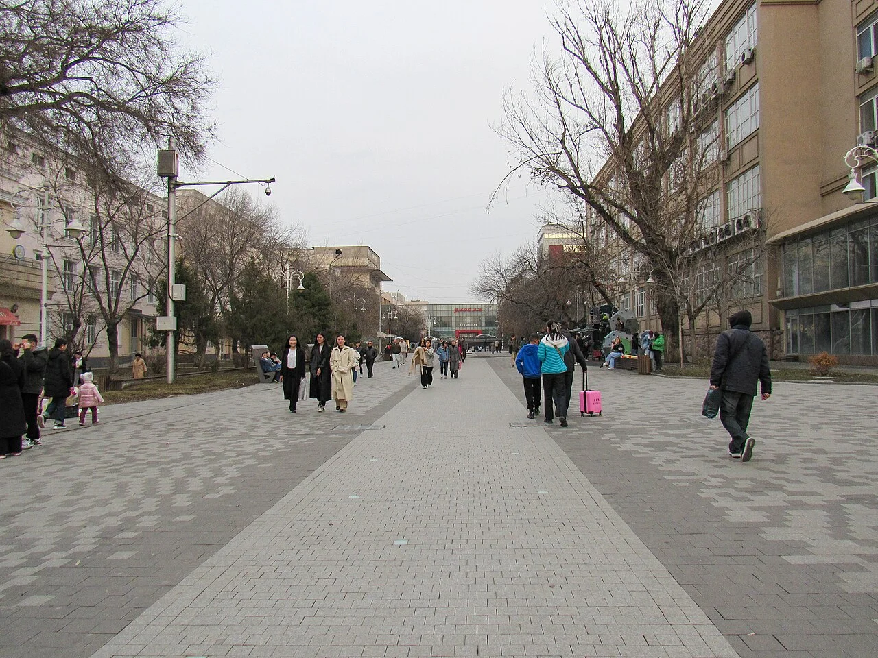 Photo of Zhibek Zholy