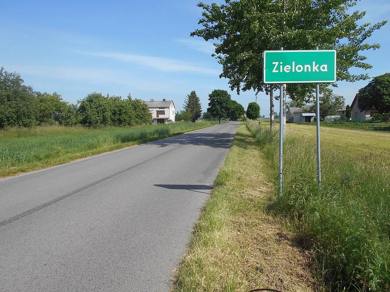 Photo of Zielonka