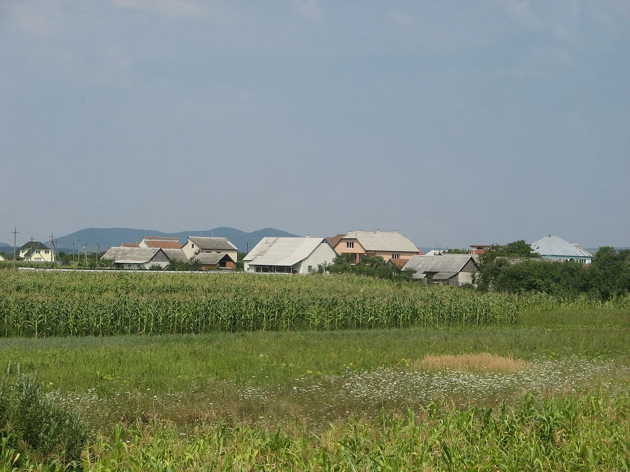 Photo of Znyats’ovo