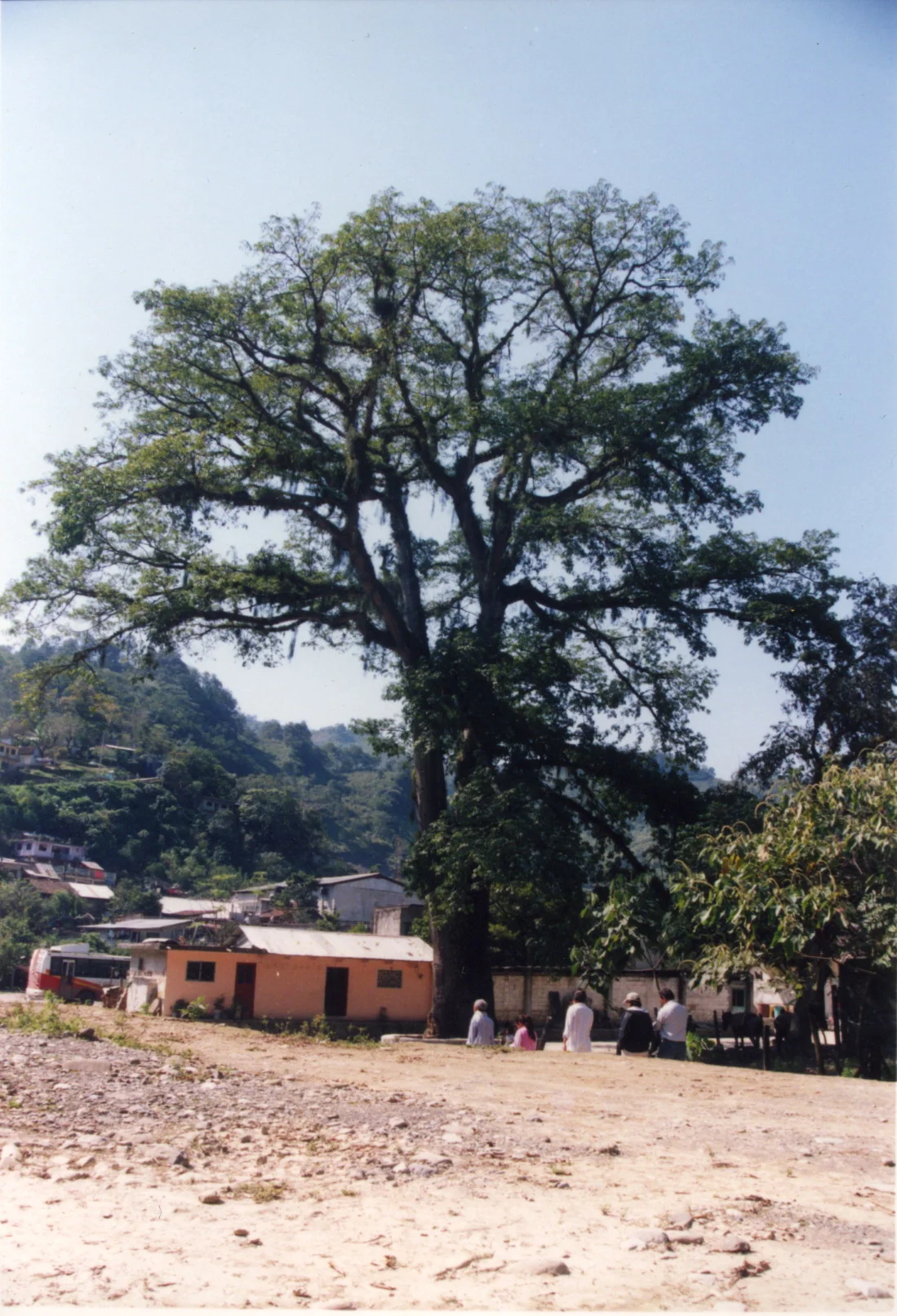 Photo of Zontecomatlán de López y Fuentes