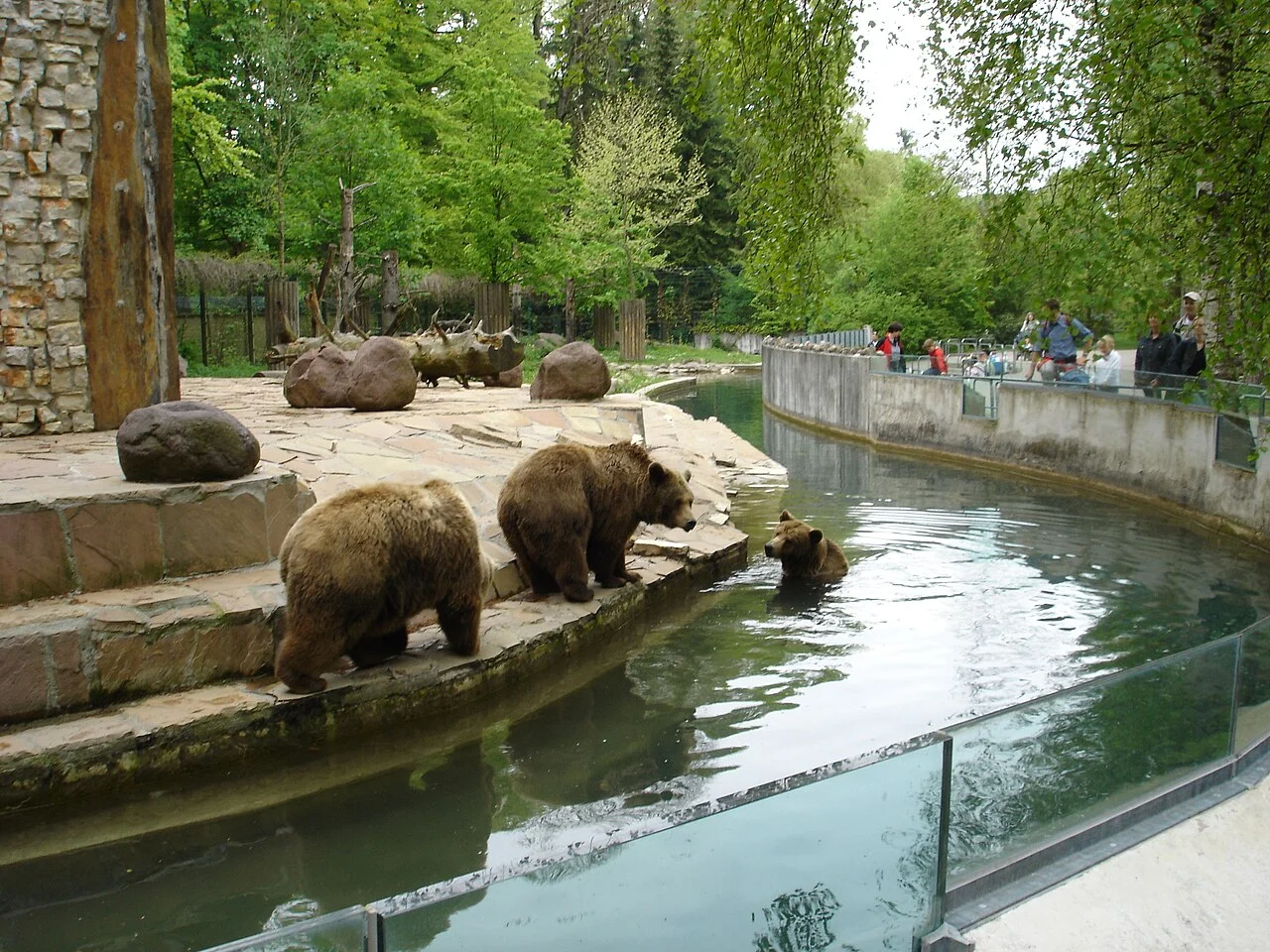 Photo of Zoo