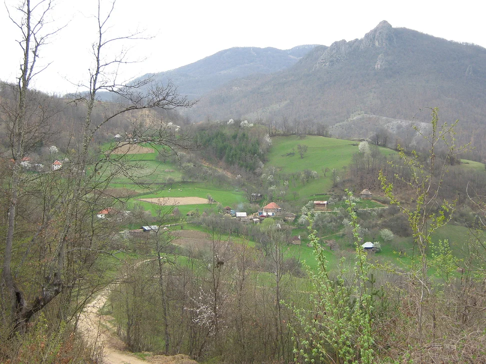 Photo of Zubin Potok