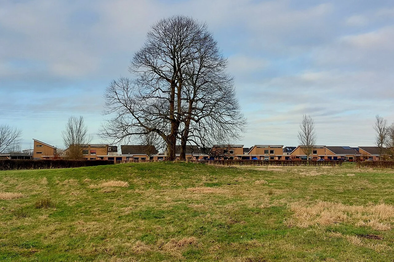 Photo of Zuiderburen