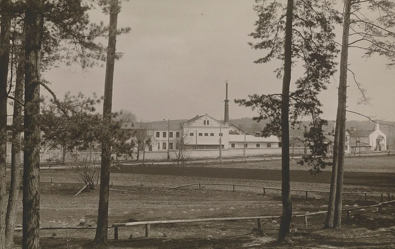 Photo of Zwierzyniec