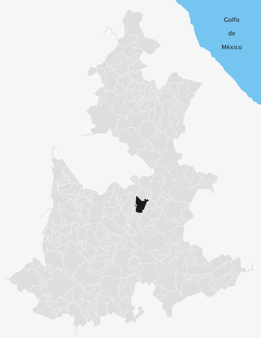 Localización del municipio de Acatzingo en el estado de Puebla (México)