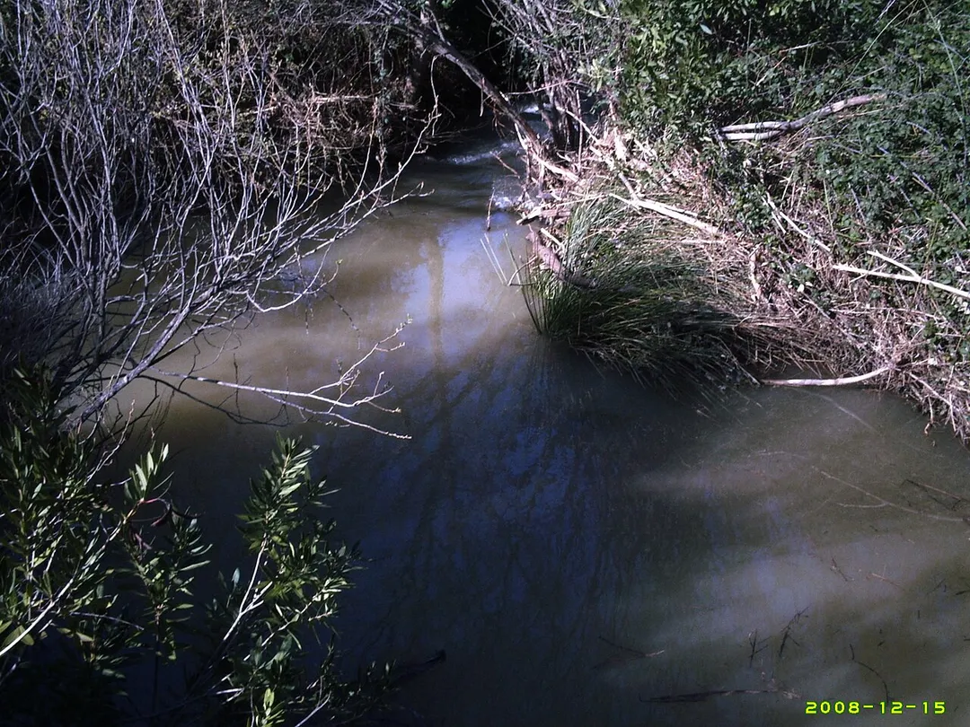 rio adelfas