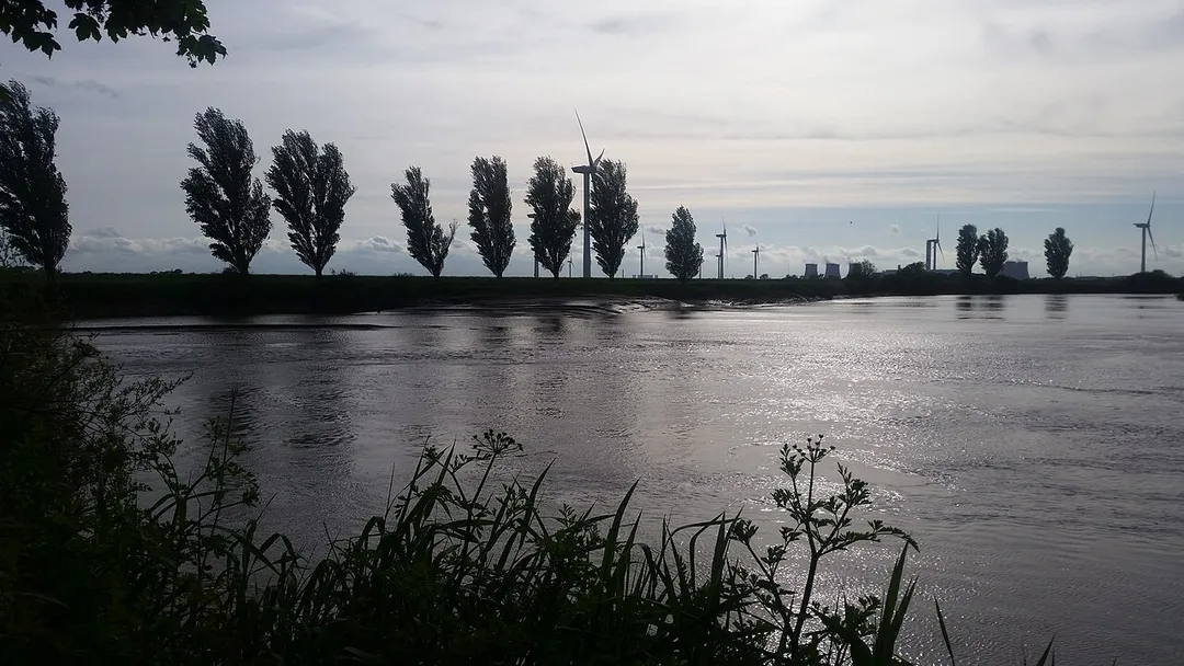 The confluence of the River Aire and River Ouse. The Aire emerges from the left. Drax power station in the background.