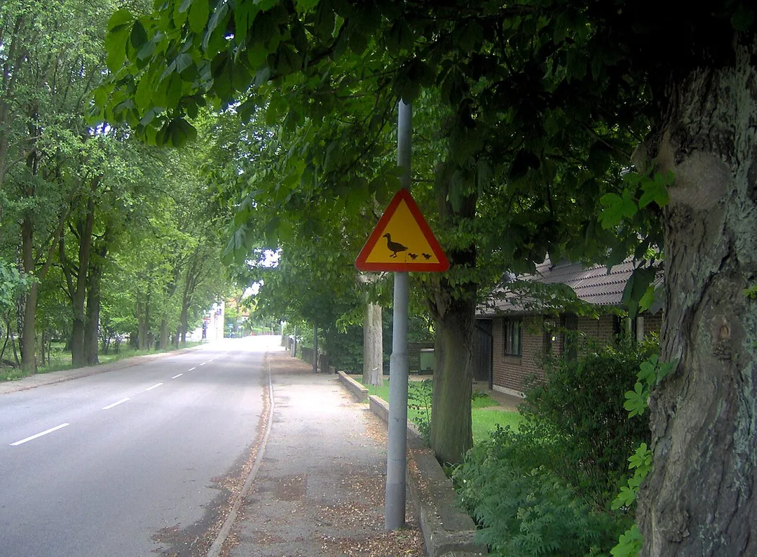Warning sign for ducks in Åkarp, Burlöv Municipality, Skåne County, Sweden.