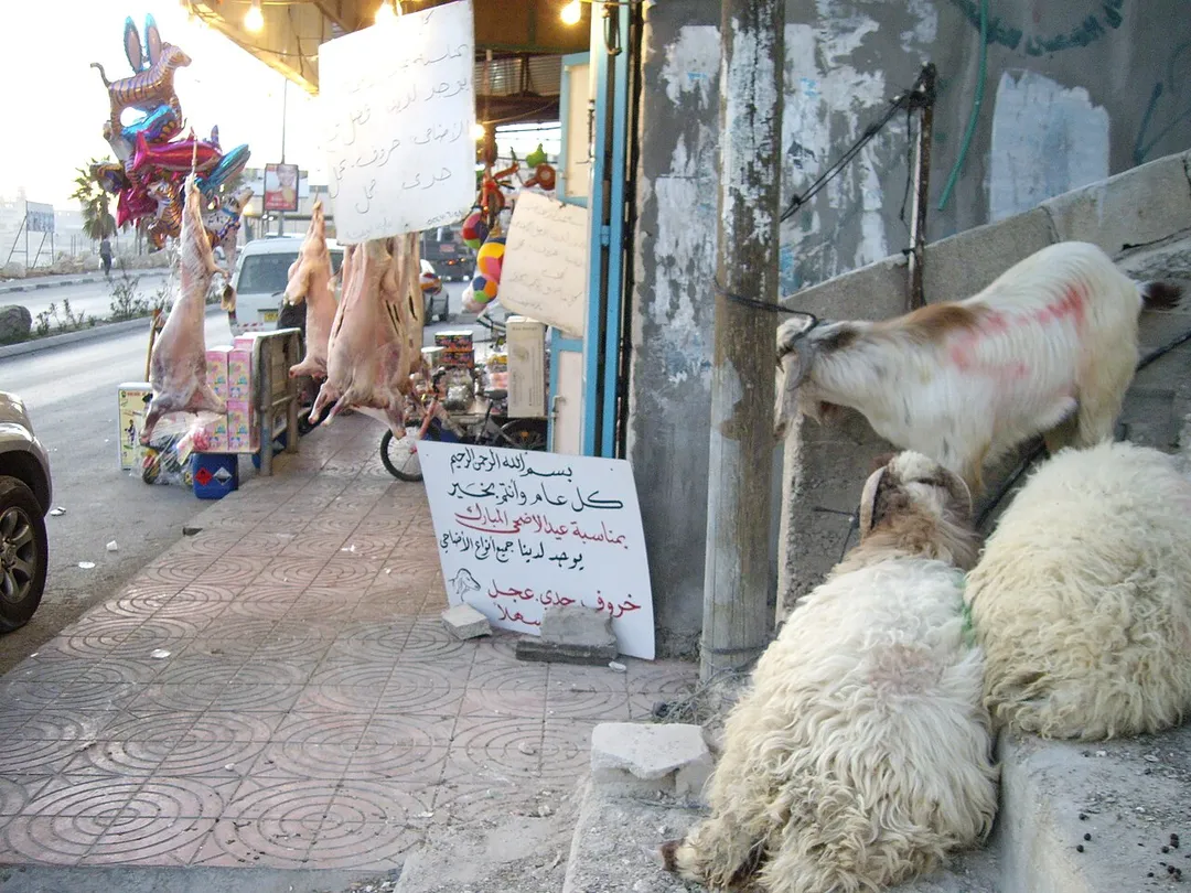 Arab butcher's shop alongside with toys shop, Al-Eizariya, Jericho road - IMGP8418

Jerusalem