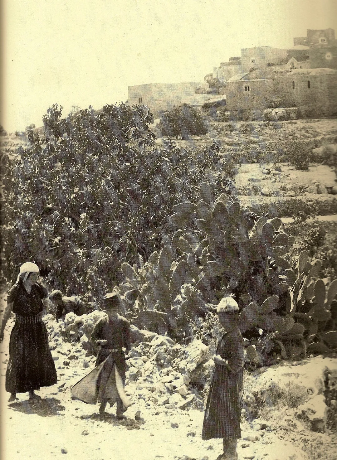 Al-Jib, near Beitunia, north west of Jerusalem, 1938-9.