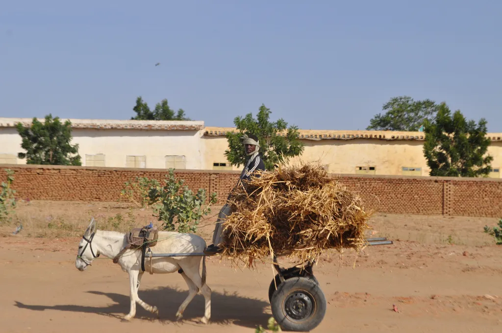 A Darfuri man travels along a road in El Geneina, West Darfur.