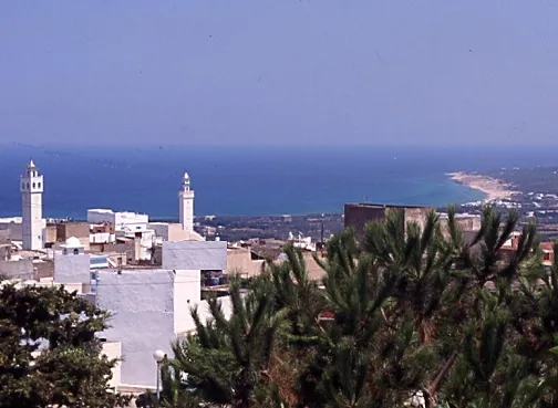 Vue de la ville de Metline (Tunisie)