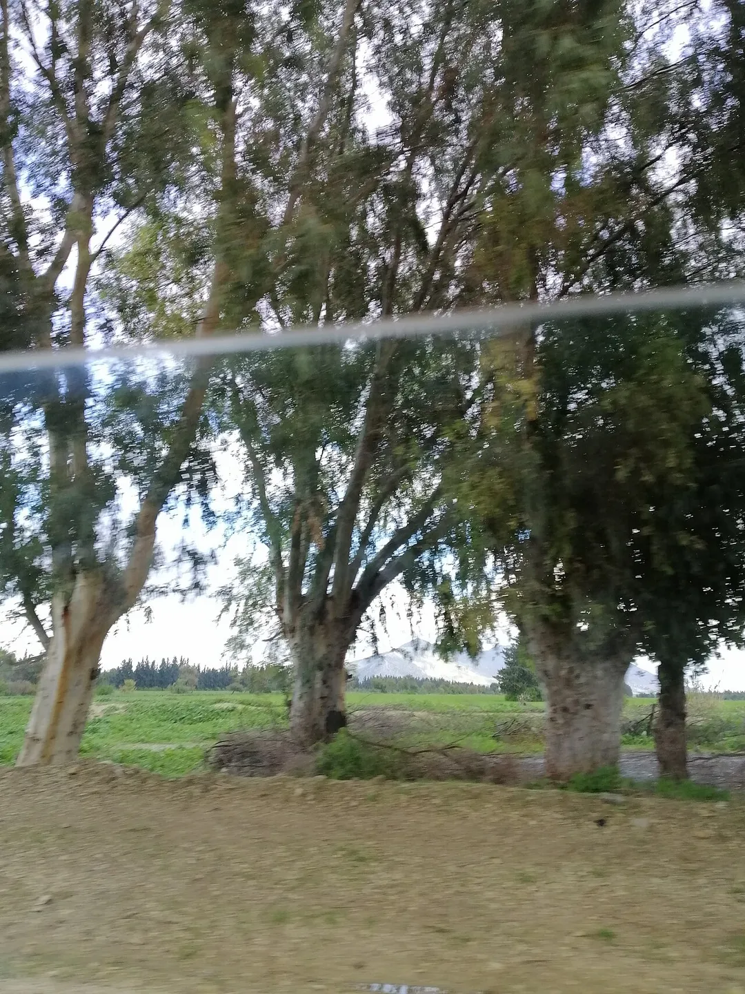 Metline bizerte tunisie