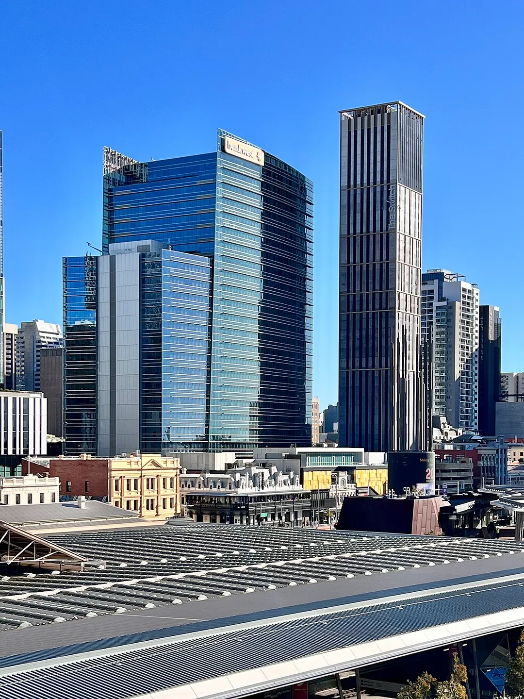 Perth CBD skyline, seen from the Art Gallery of Western Australia, 2022
