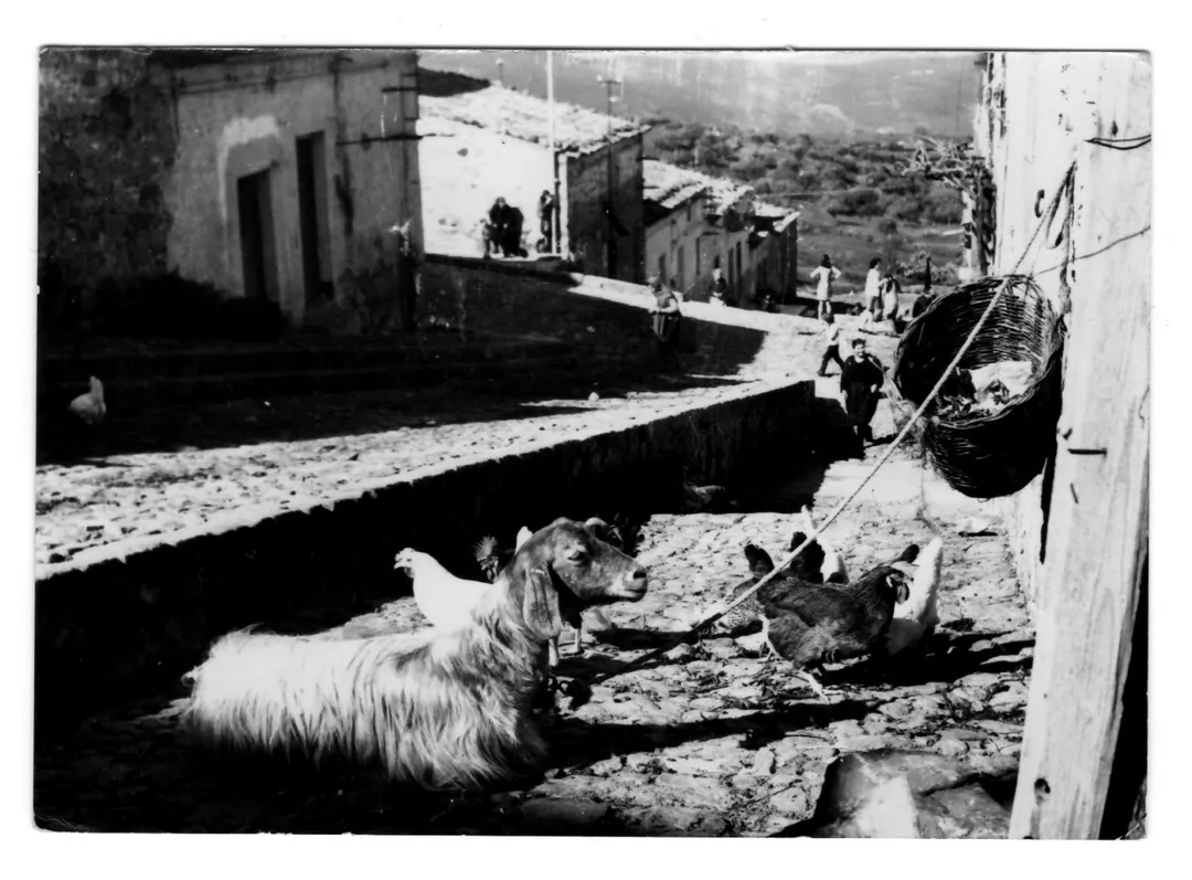 Una strada di Aliminusa, paese in provincia di Palermo