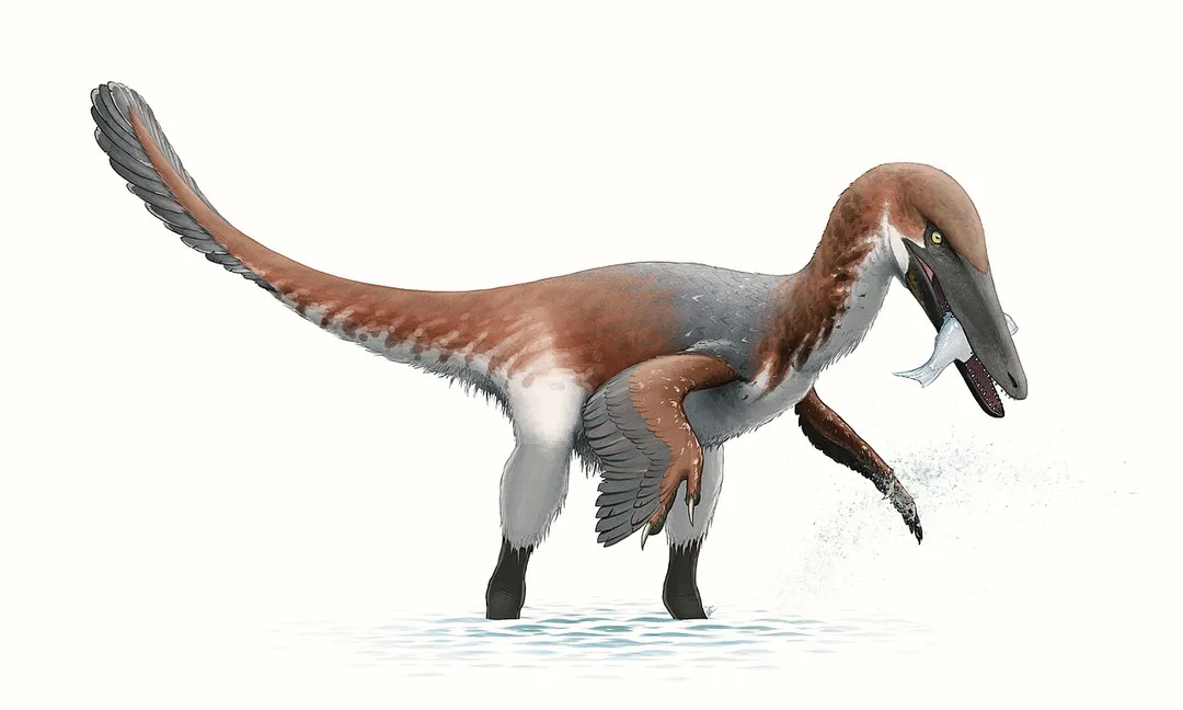 Scientific reconstruction of Austroraptor cabazai