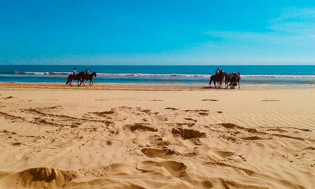 Matalascañas beach