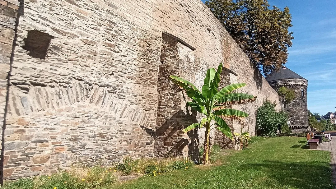 Fortifications d'Andernach en 2023