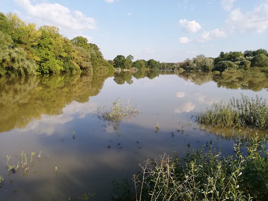 Flood in Angern an der March in September 2024