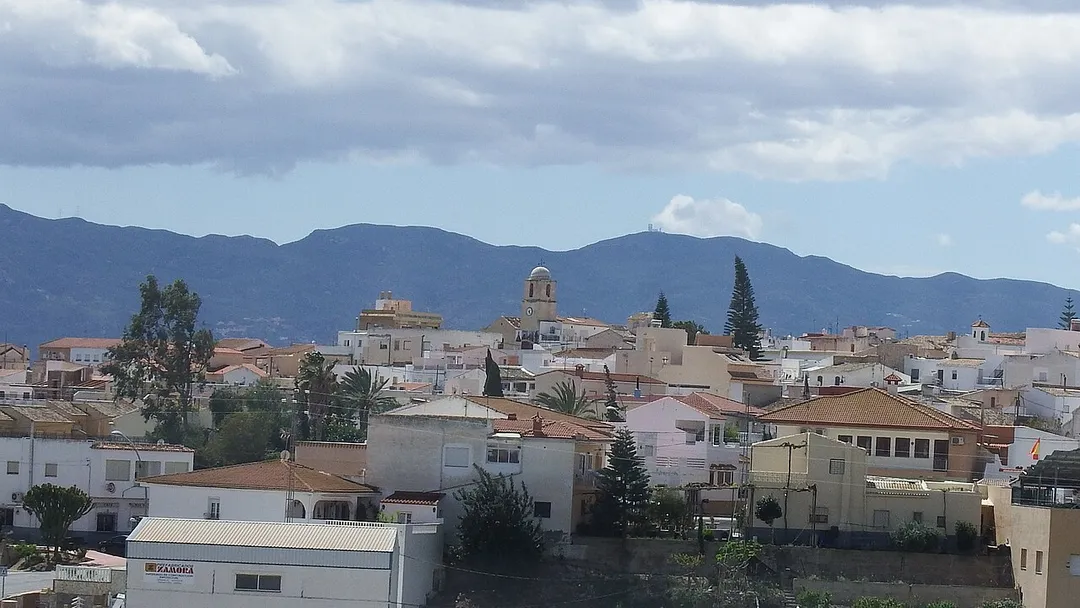 Antas