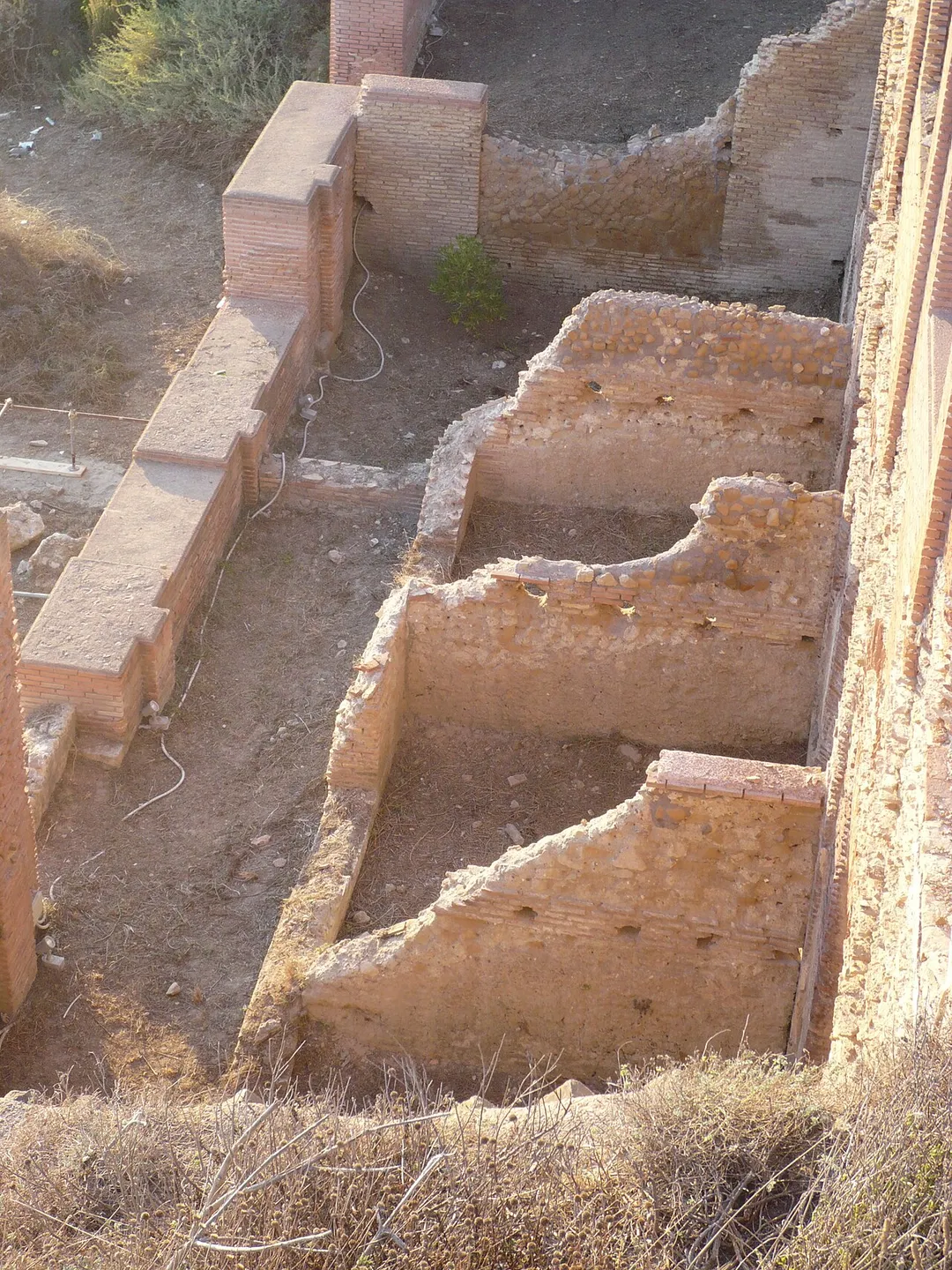 Ancient library of the Domus Neroniana, Anzio